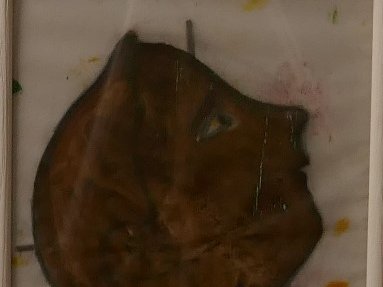 Scène de crime portrait robot du suspect